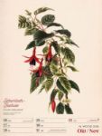 Bild von Ars Floralis - Vintage-Wochenplaner Kalender 2026