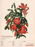 Bild von Ars Floralis - Vintage-Wochenplaner Kalender 2026