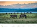 Bild von Afrika - Ackermann Gallery Kalender 2026
