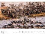 Bild von Afrika - Ackermann Gallery Kalender 2026
