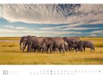 Bild von Afrika - Ackermann Gallery Kalender 2026