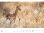 Bild von Afrika - Ackermann Gallery Kalender 2026