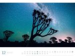 Bild von Afrika - Ackermann Gallery Kalender 2026