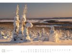 Bild von Wald - Ackermann Gallery Kalender 2026