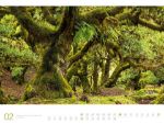 Bild von Wald - Ackermann Gallery Kalender 2026