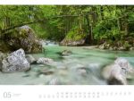 Bild von Wald - Ackermann Gallery Kalender 2026