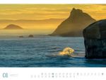 Bild von Meer - Ackermann Gallery Kalender 2026