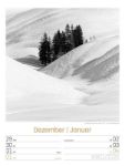 Bild von Silent Nature - Schwarz-Weiss-Wochenplaner Kalender 2026