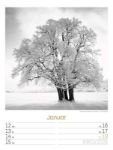 Bild von Silent Nature - Schwarz-Weiss-Wochenplaner Kalender 2026