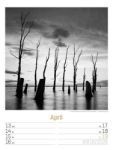 Bild von Silent Nature - Schwarz-Weiss-Wochenplaner Kalender 2026