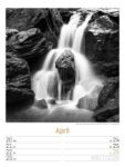 Bild von Silent Nature - Schwarz-Weiss-Wochenplaner Kalender 2026