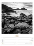 Bild von Silent Nature - Schwarz-Weiss-Wochenplaner Kalender 2026