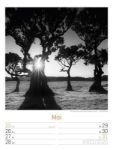 Bild von Silent Nature - Schwarz-Weiss-Wochenplaner Kalender 2026