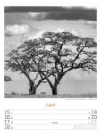 Bild von Silent Nature - Schwarz-Weiss-Wochenplaner Kalender 2026