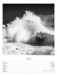 Bild von Silent Nature - Schwarz-Weiss-Wochenplaner Kalender 2026