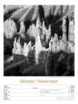 Bild von Silent Nature - Schwarz-Weiss-Wochenplaner Kalender 2026