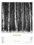 Bild von Silent Nature - Schwarz-Weiss-Wochenplaner Kalender 2026