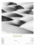 Bild von Silent Nature - Schwarz-Weiss-Wochenplaner Kalender 2026