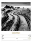 Bild von Silent Nature - Schwarz-Weiss-Wochenplaner Kalender 2026