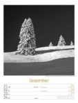 Bild von Silent Nature - Schwarz-Weiss-Wochenplaner Kalender 2026