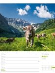 Bild von Abenteuer Deutschland - Naturparadiese Wochenplaner Kalender 2026