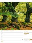 Bild von Abenteuer Deutschland - Naturparadiese Wochenplaner Kalender 2026