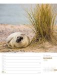 Bild von Abenteuer Deutschland - Naturparadiese Wochenplaner Kalender 2026