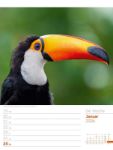 Bild von Vögel - Tier-Wochenplaner 2026