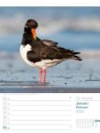Bild von Vögel - Tier-Wochenplaner 2026