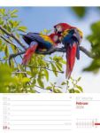 Bild von Vögel - Tier-Wochenplaner 2026
