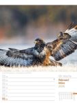 Bild von Vögel - Tier-Wochenplaner 2026