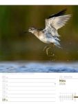 Bild von Vögel - Tier-Wochenplaner 2026