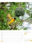 Bild von Vögel - Tier-Wochenplaner 2026