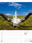 Bild von Vögel - Tier-Wochenplaner 2026