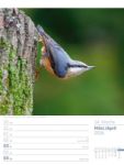 Bild von Vögel - Tier-Wochenplaner 2026