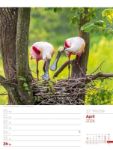 Bild von Vögel - Tier-Wochenplaner 2026