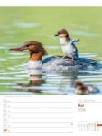 Bild von Vögel - Tier-Wochenplaner 2026
