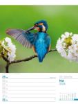 Bild von Vögel - Tier-Wochenplaner 2026