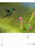 Bild von Vögel - Tier-Wochenplaner 2026