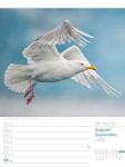 Bild von Vögel - Tier-Wochenplaner 2026