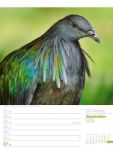 Bild von Vögel - Tier-Wochenplaner 2026