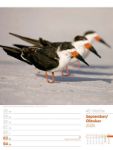 Bild von Vögel - Tier-Wochenplaner 2026