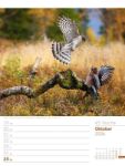 Bild von Vögel - Tier-Wochenplaner 2026