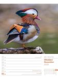 Bild von Vögel - Tier-Wochenplaner 2026