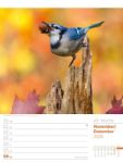 Bild von Vögel - Tier-Wochenplaner 2026