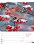 Bild von Vögel - Tier-Wochenplaner 2026