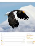 Bild von Vögel - Tier-Wochenplaner 2026