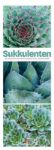 Bild von Sukkulenten Triplet-Kalender 2026
