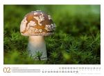Bild von Pilze Kalender 2026