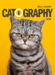 Bild von Catography Kalender 2026